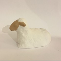 Mouton couché, coll. Nuit...