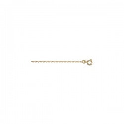 Chaîne plaqué-or maille...