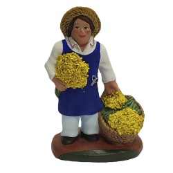 Homme cueillant le mimosas,...