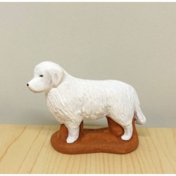 Chien de berger (patou),...