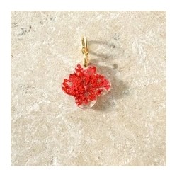 Croix de douceur rouge,...