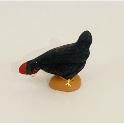 Poule noire picorante,...
