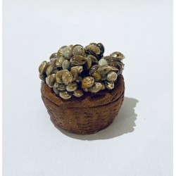 Sac de palourdes, santon...