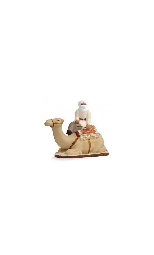 chameau avec chamelier
