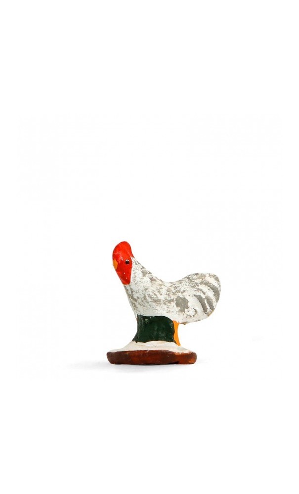 coq