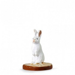 lapin blanc droit