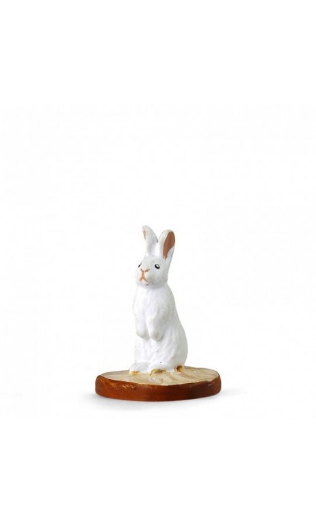 lapin blanc droit