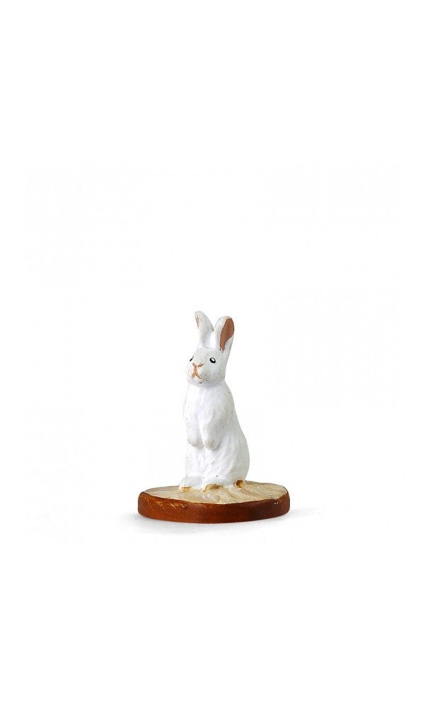 lapin blanc droit