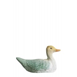 canard nageant