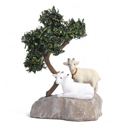 Deux chèvres sur rocher...